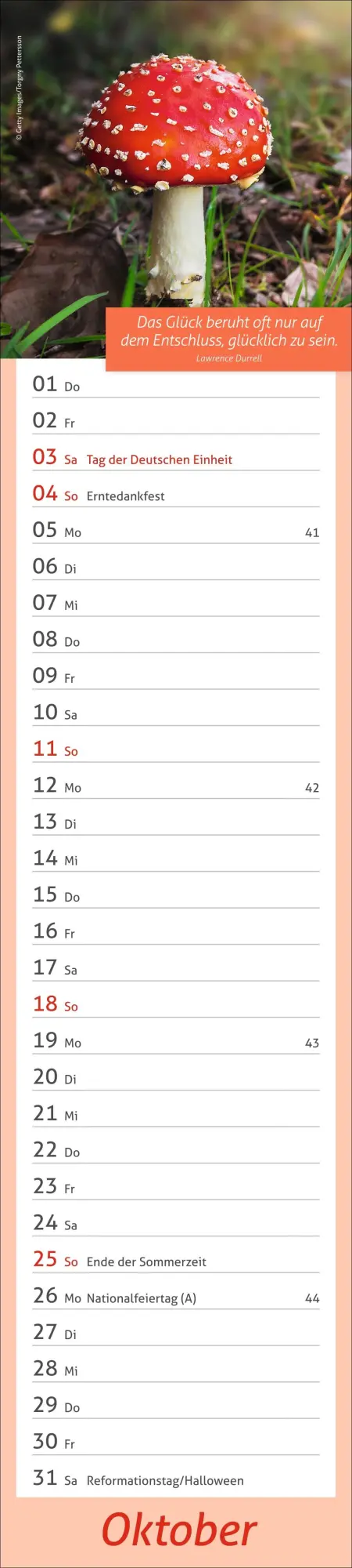 Bild: 9783756412945 | times&amp;more Tage voller Glück Langplaner 2026 | Heye | Kalender | 13 S.