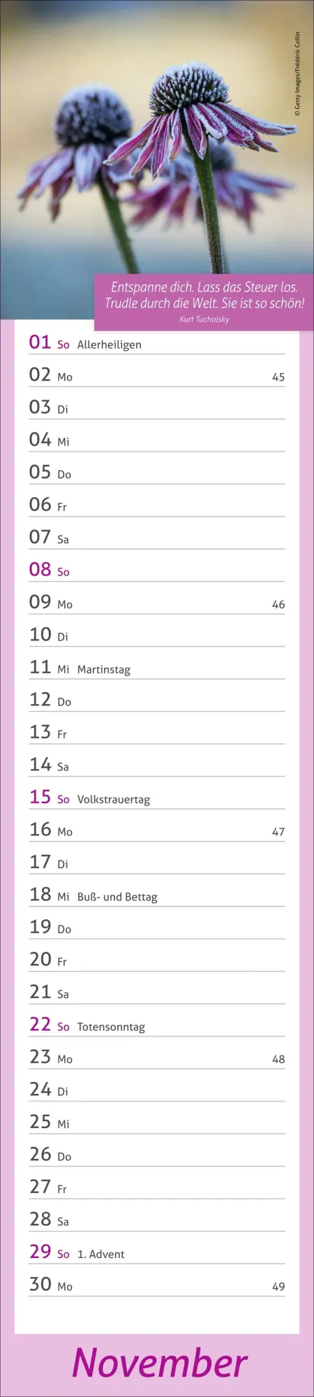 Bild: 9783756412945 | times&amp;more Tage voller Glück Langplaner 2026 | Heye | Kalender | 13 S.