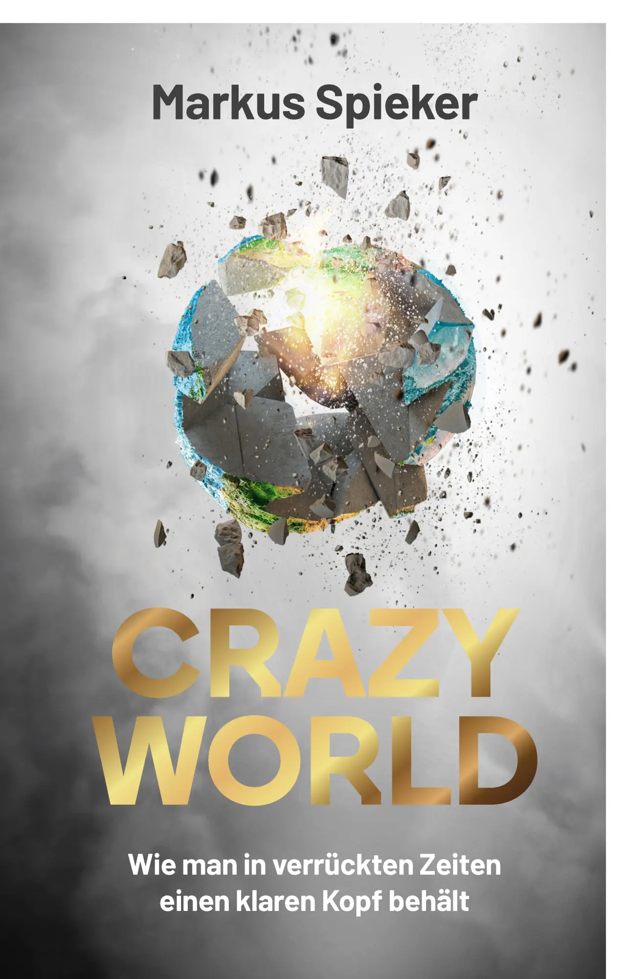 Cover: 9783038483045 | Crazy World | Wie man in verrückten Zeiten einen klaren Kopf behält