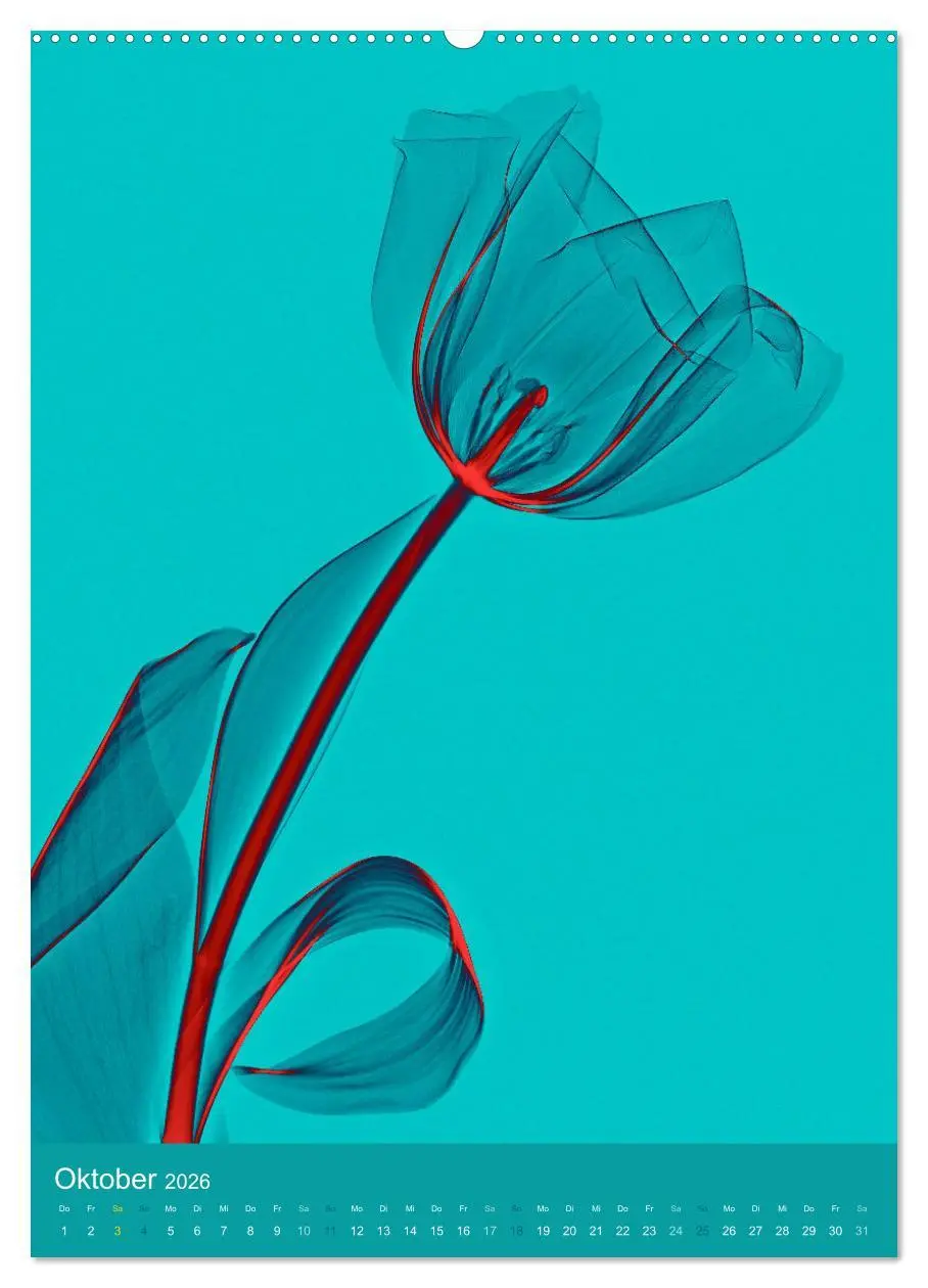 Bild: 9783516343045 | Durchleuchtete Blumenwelt 2026 (hochwertiger Premium Wandkalender...