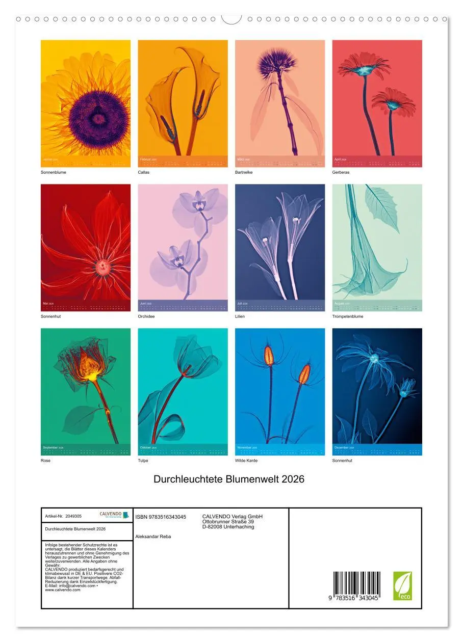 Bild: 9783516343045 | Durchleuchtete Blumenwelt 2026 (hochwertiger Premium Wandkalender...