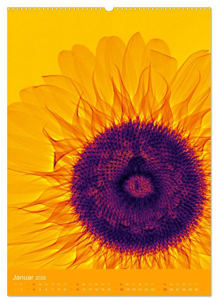 Bild: 9783516343045 | Durchleuchtete Blumenwelt 2026 (hochwertiger Premium Wandkalender...