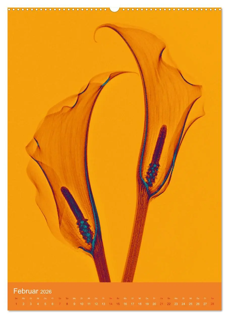 Bild: 9783516343045 | Durchleuchtete Blumenwelt 2026 (hochwertiger Premium Wandkalender...