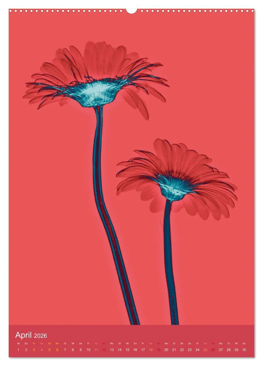 Bild: 9783516343045 | Durchleuchtete Blumenwelt 2026 (hochwertiger Premium Wandkalender...