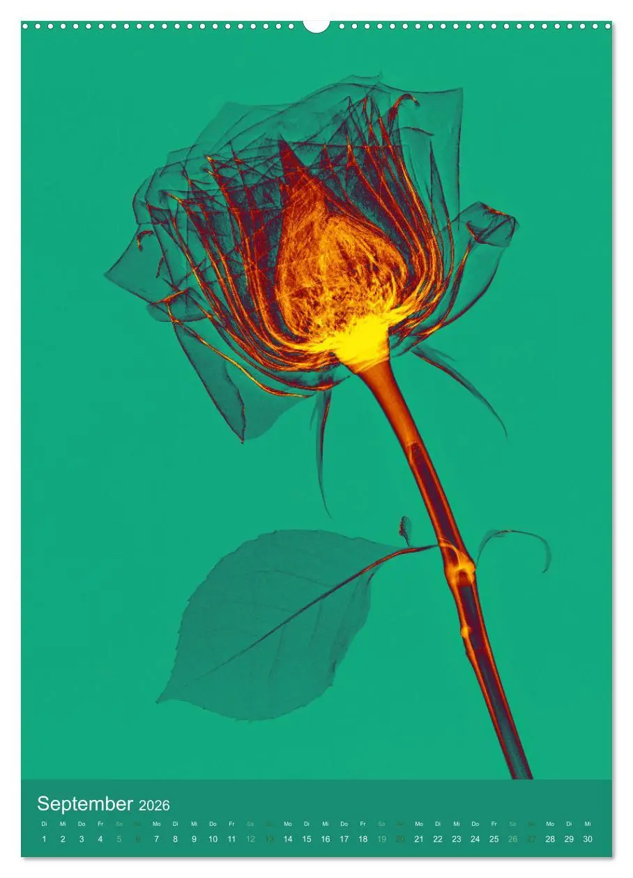 Bild: 9783516343045 | Durchleuchtete Blumenwelt 2026 (hochwertiger Premium Wandkalender...