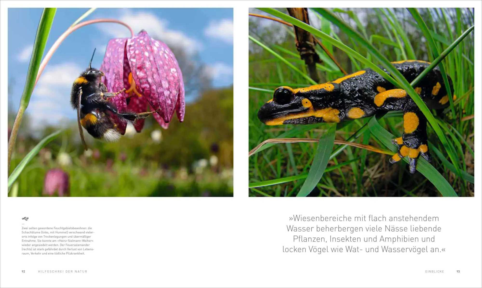 Bild: 9783954163045 | HILFESCHREI DER NATUR | Peter Berthold (u. a.) | Buch | 208 S. | 2023