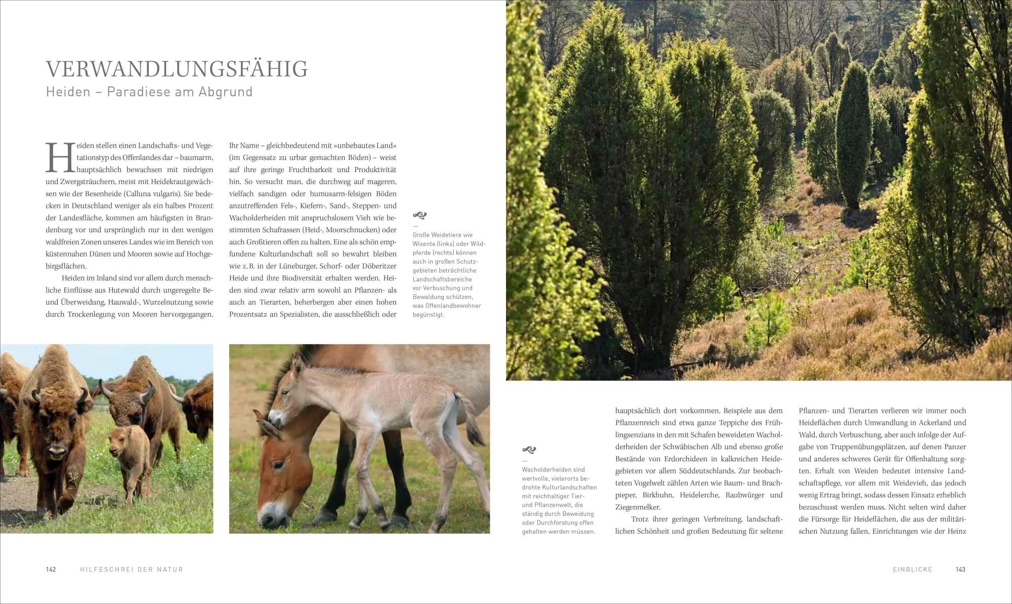 Bild: 9783954163045 | HILFESCHREI DER NATUR | Peter Berthold (u. a.) | Buch | 208 S. | 2023