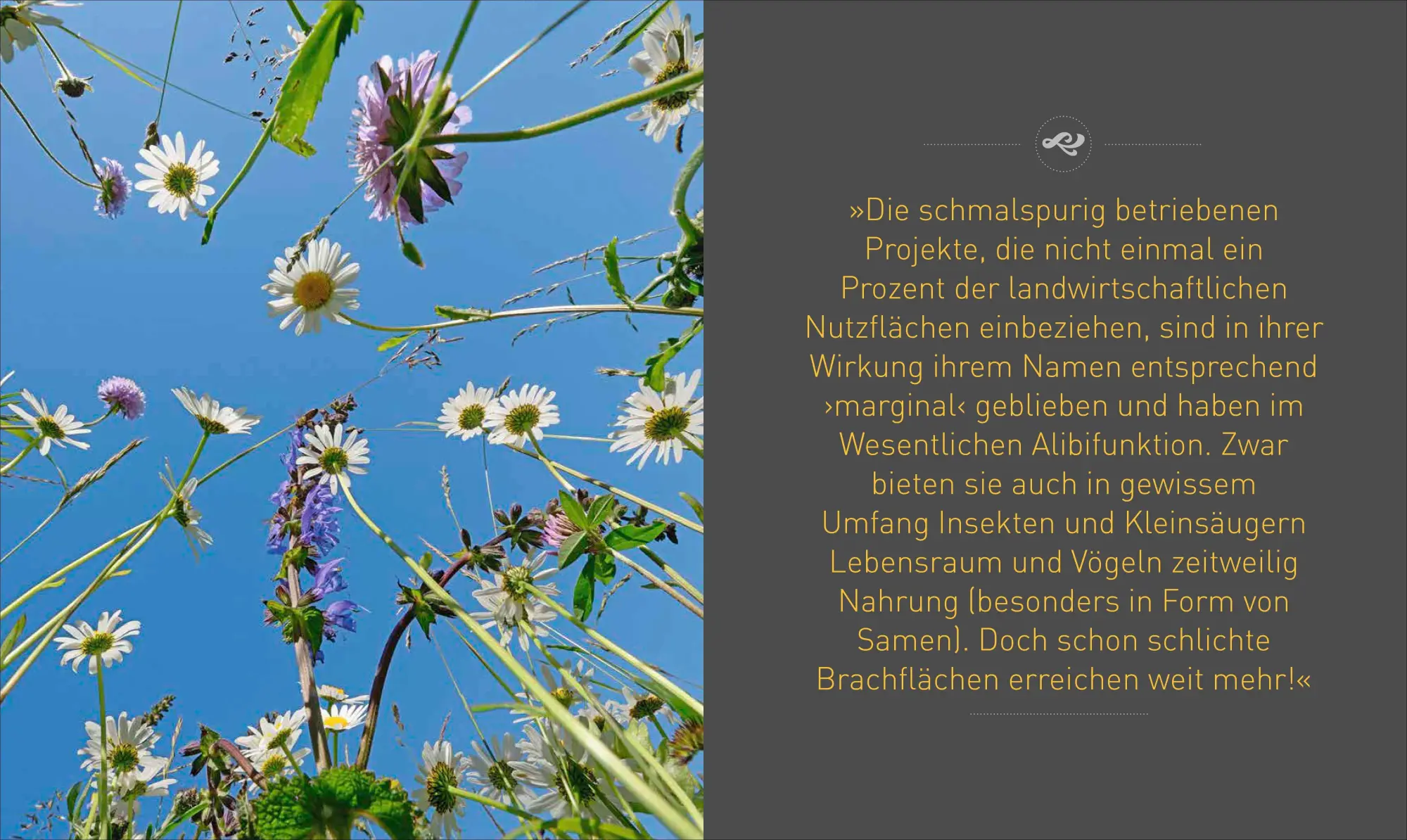 Bild: 9783954163045 | HILFESCHREI DER NATUR | Peter Berthold (u. a.) | Buch | 208 S. | 2023
