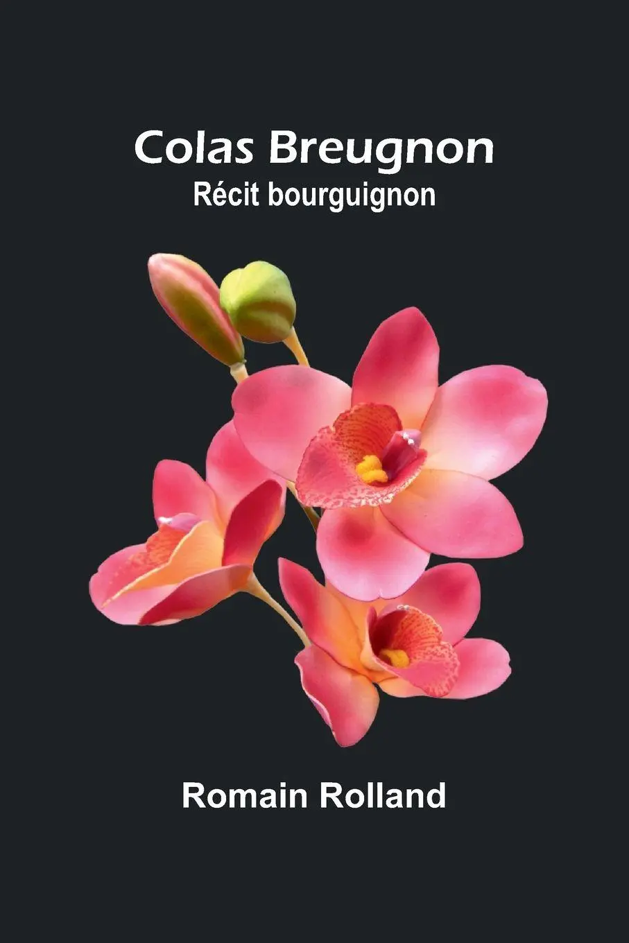Cover: 9789364733045 | Colas Breugnon | Récit bourguignon | Romain Rolland | Taschenbuch