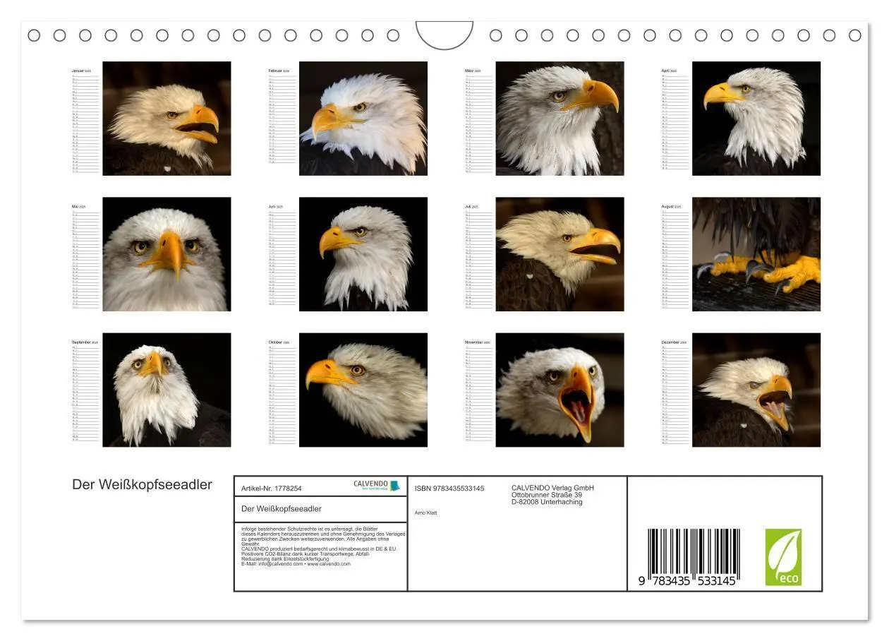 Bild: 9783435533145 | Der Weißkopfseeadler (Wandkalender 2025 DIN A4 quer), CALVENDO...