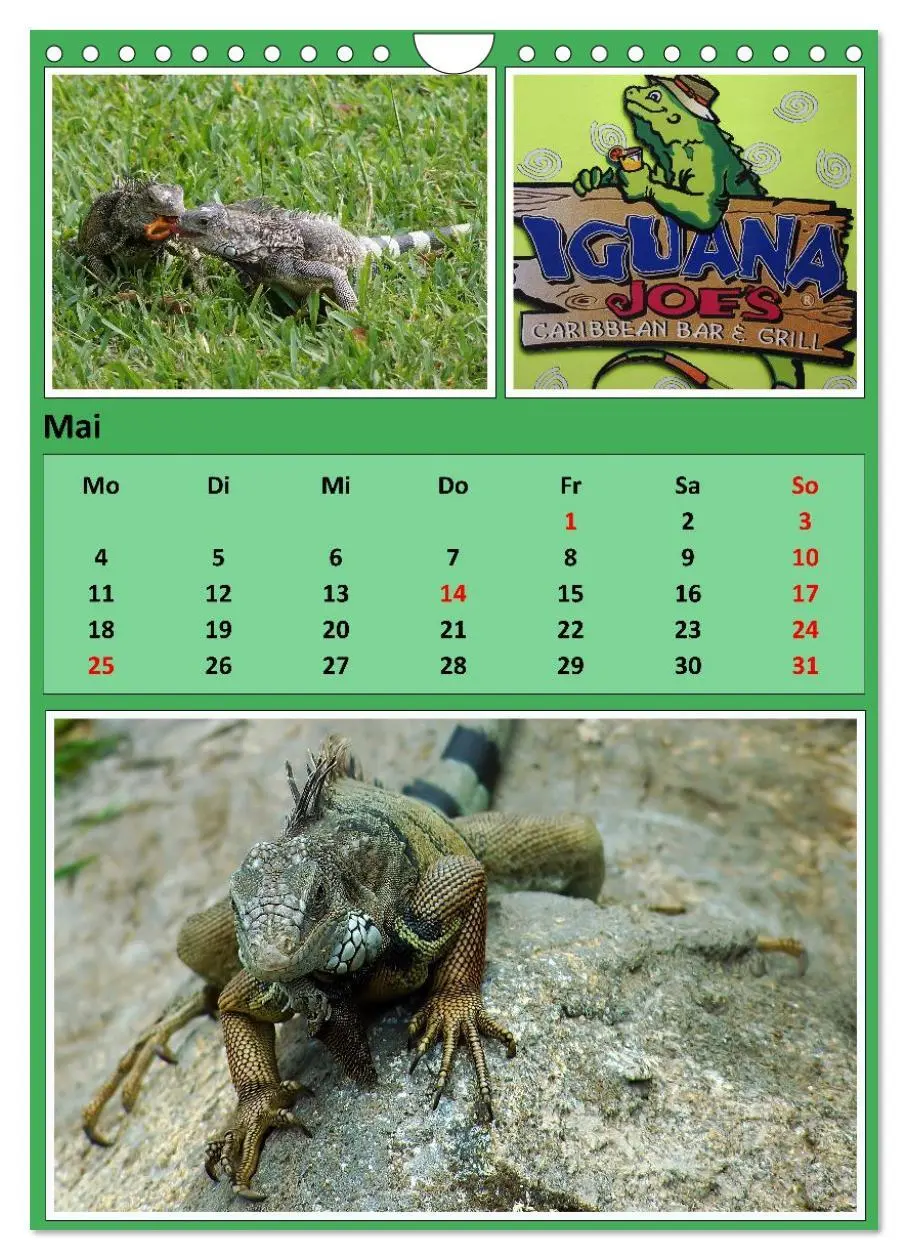 Bild: 9783457303245 | Karibik - Eindrücke einer Kreuzfahrt (Wandkalender 2026 DIN A4...