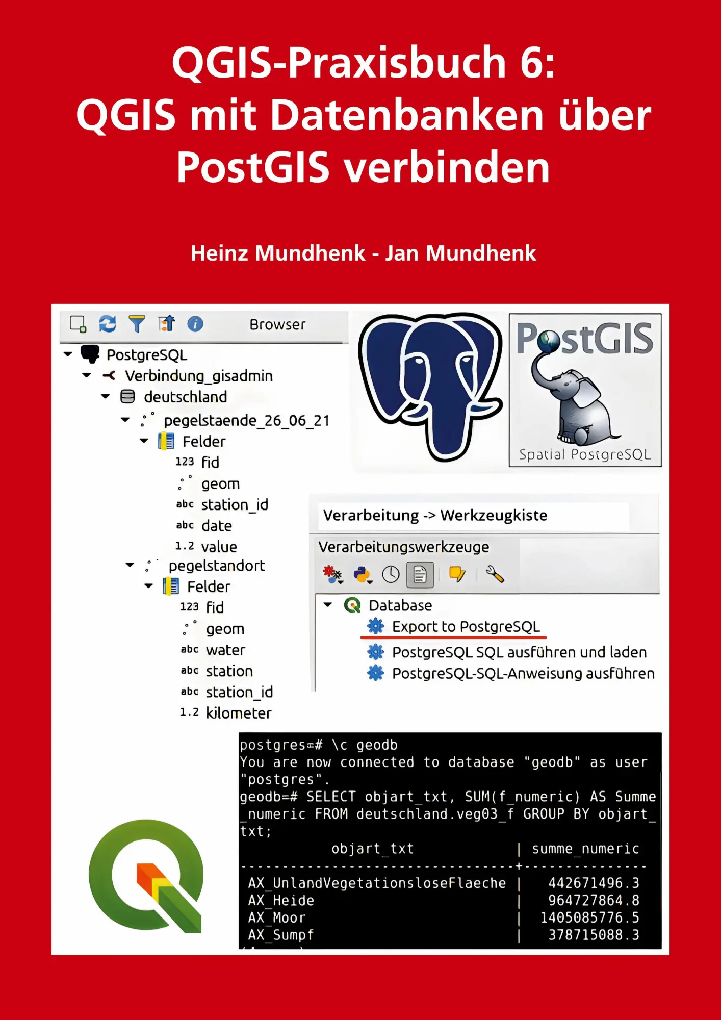 Cover: 9783696373245 | QGIS-Praxisbuch 6: QGIS mit Datenbanken über PostGIS verbinden | Buch