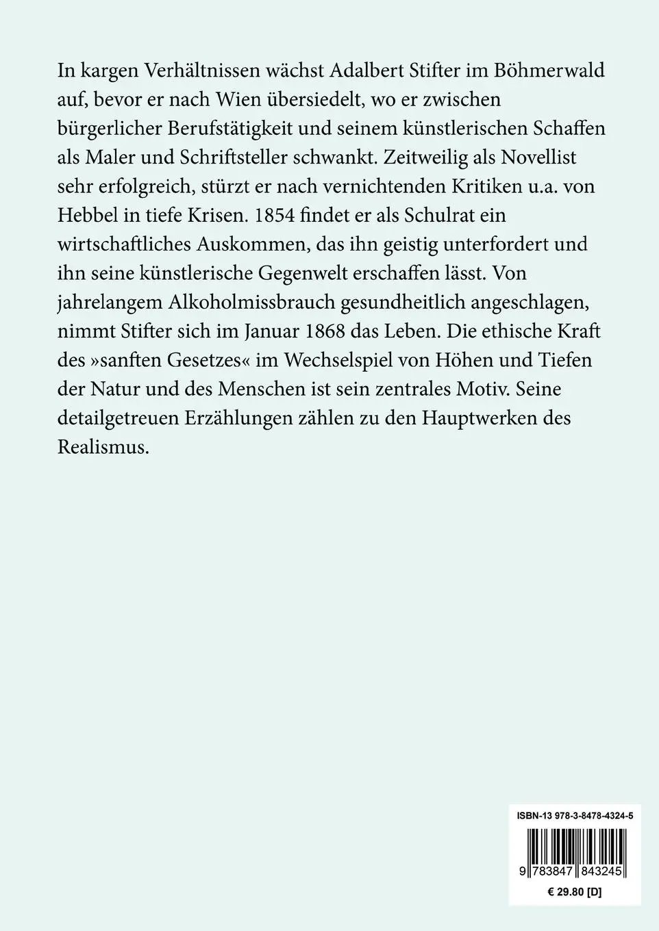 Rückseite: 9783847843245 | Witiko (Großdruck) | Historischer Roman | Adalbert Stifter | Buch
