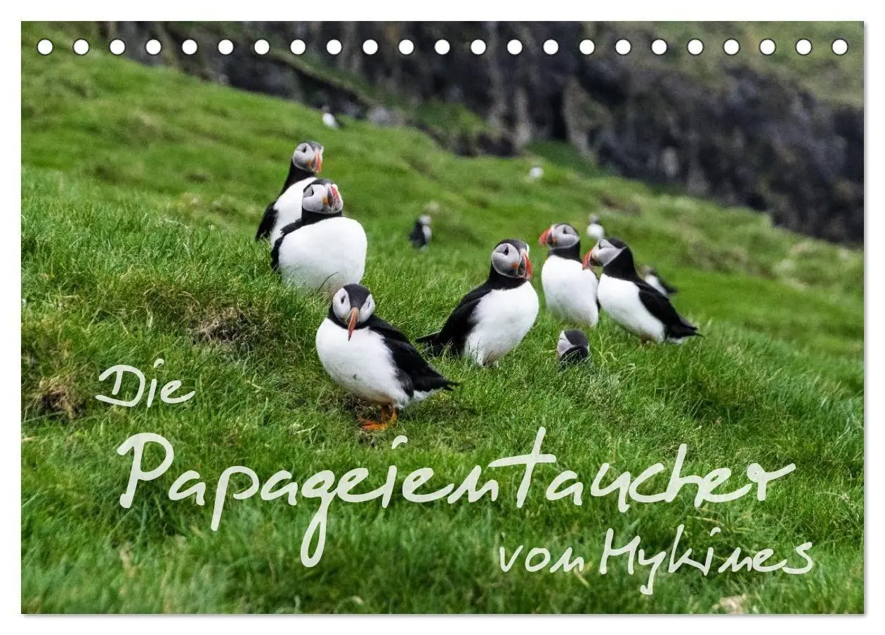 Cover: 9783569953345 | Die Papageientaucher von Mykines (Tischkalender 2027 DIN A5 quer),...