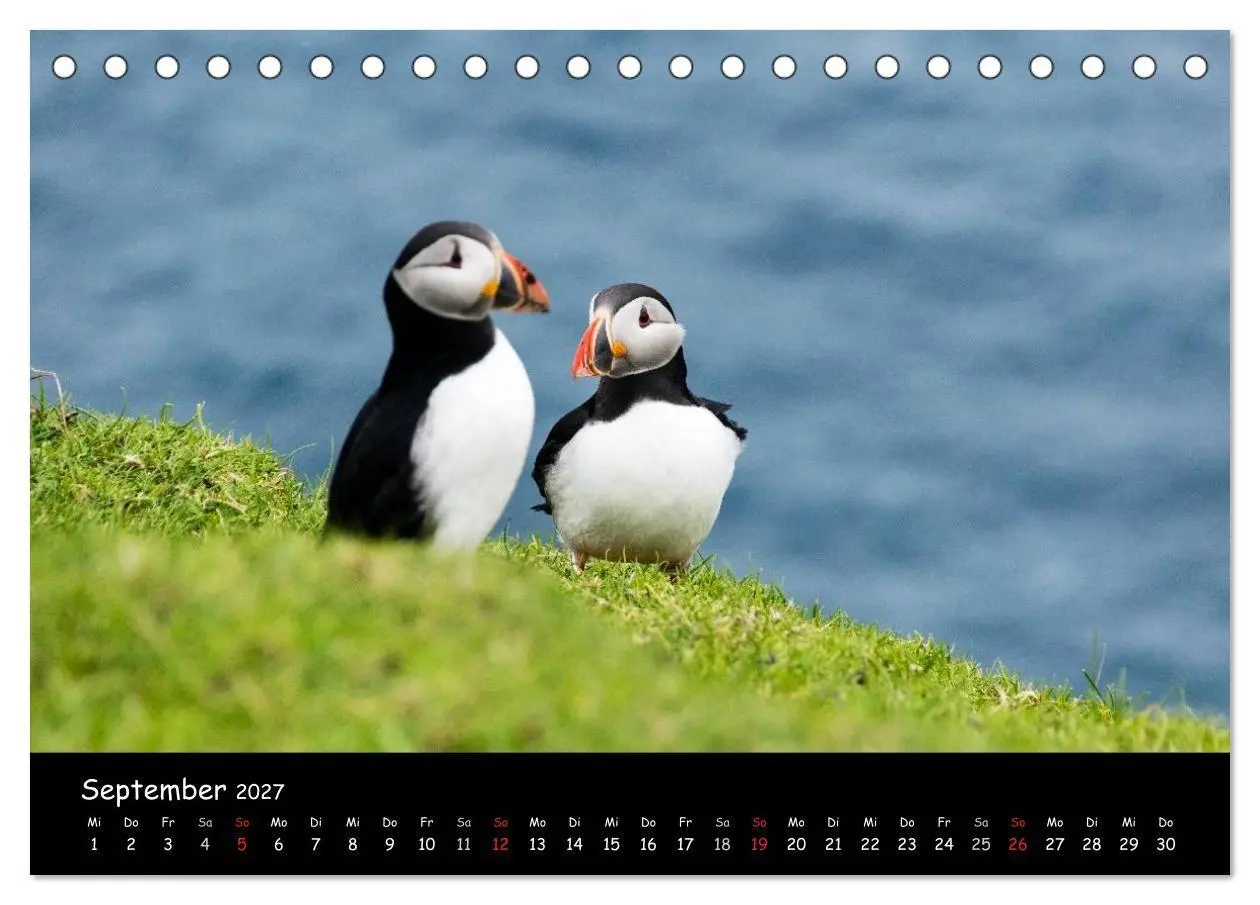 Bild: 9783569953345 | Die Papageientaucher von Mykines (Tischkalender 2027 DIN A5 quer),...