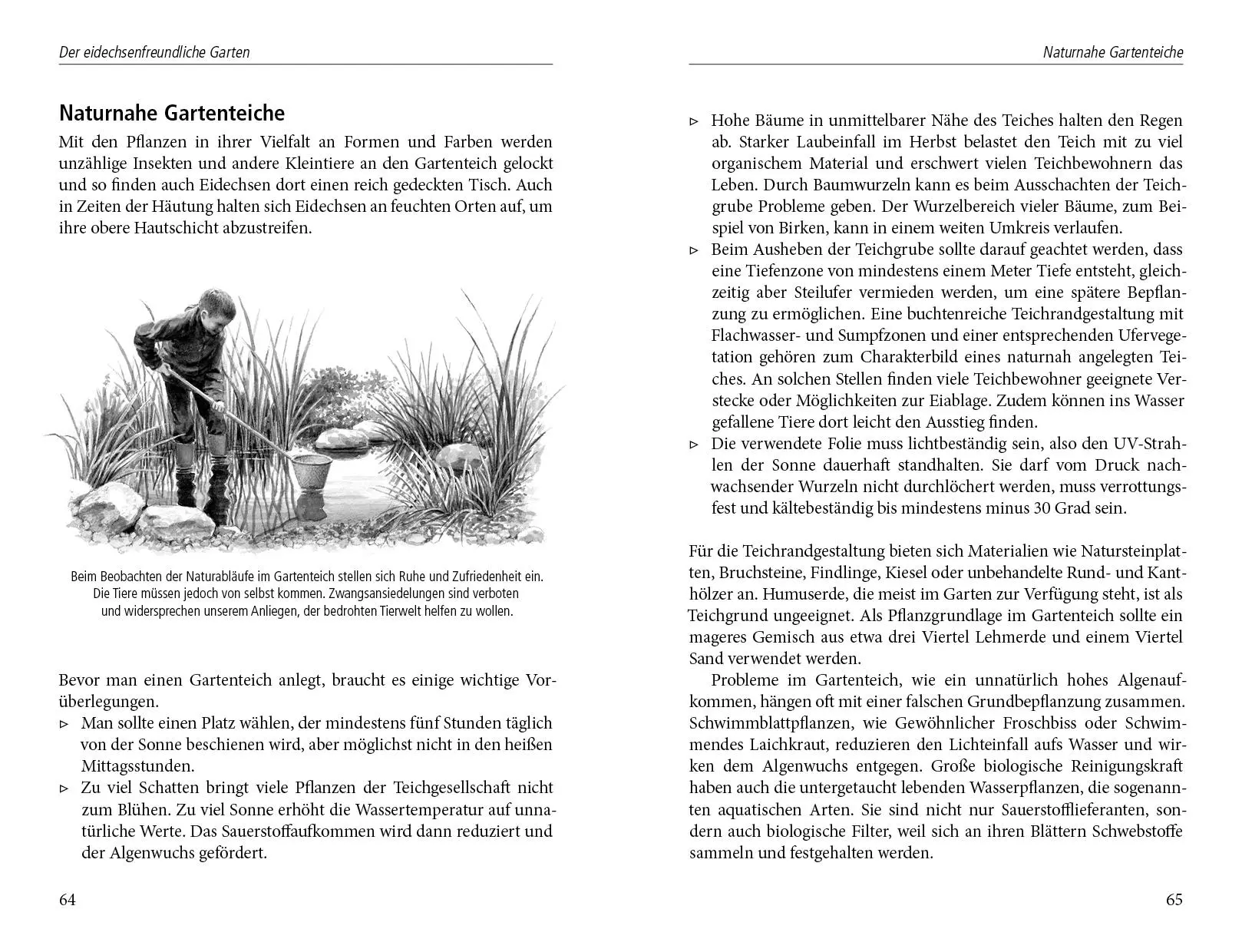 Bild: 9783895663345 | Ein Garten für Eidechsen | Wolf Richard Günzel | Buch | 140 S. | 2014