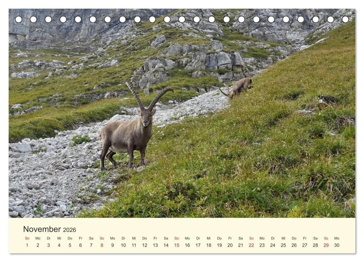 Bild: 9783457763445 | Wanderglück im Allgäu (Tischkalender 2026 DIN A5 quer), CALVENDO...