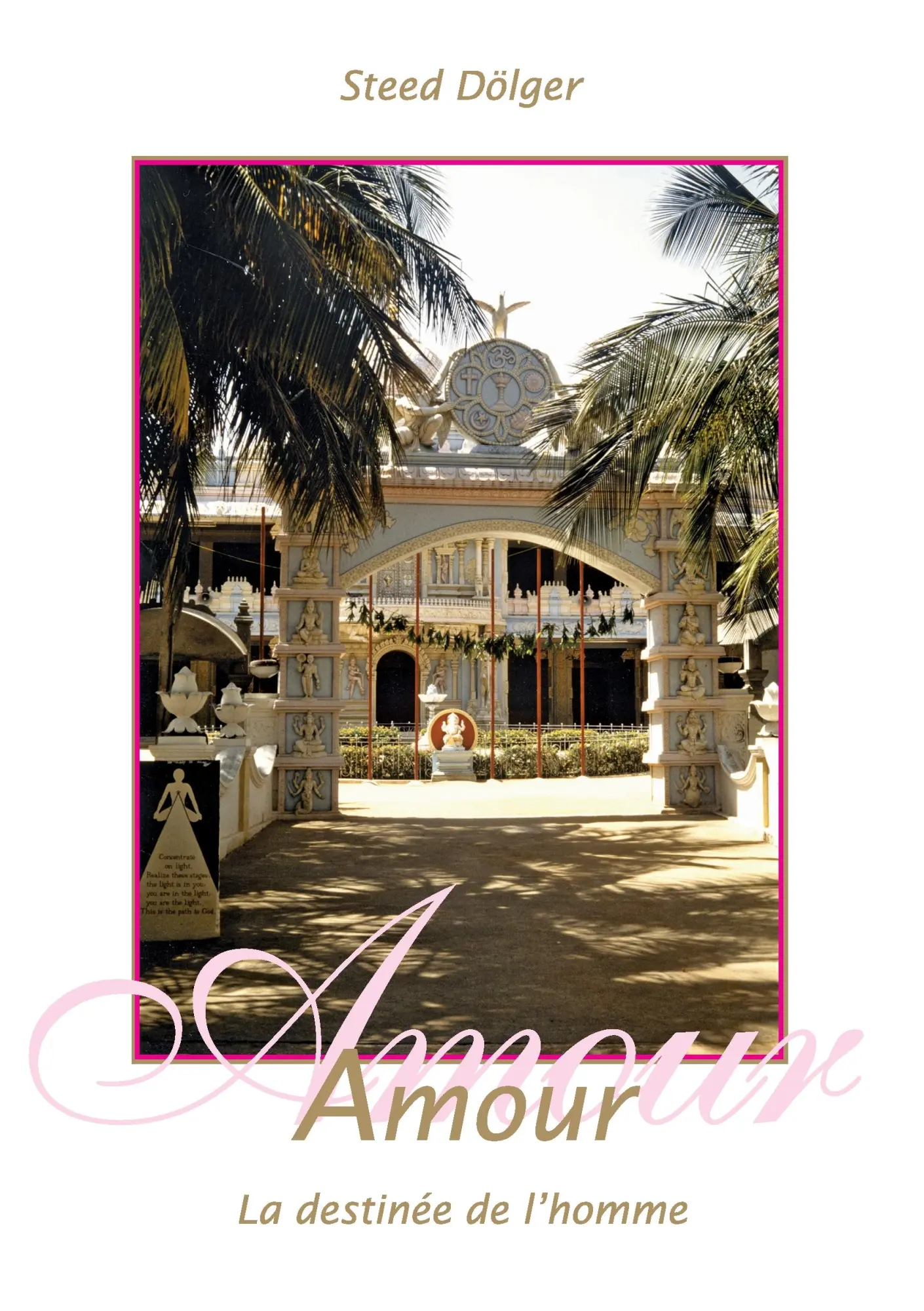 Cover: 9783741273445 | Amour - La destinée de l'homme | Steed Dölger | Taschenbuch | 84 S.