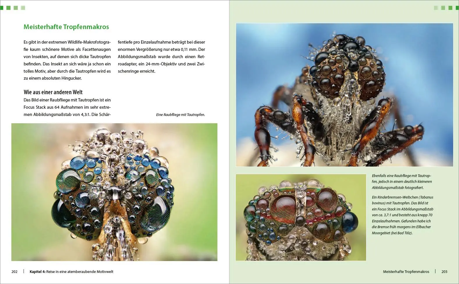 Bild: 9783832803445 | Extreme Wildlife-Makrofotografie | Alexander Mett | Buch | 288 S.