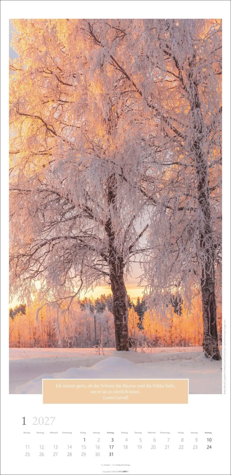 Bild: 9783839903445 | Wunderwelt der Bäume Kalender 2027 | Frank Krahmer | Kalender | 14 S.