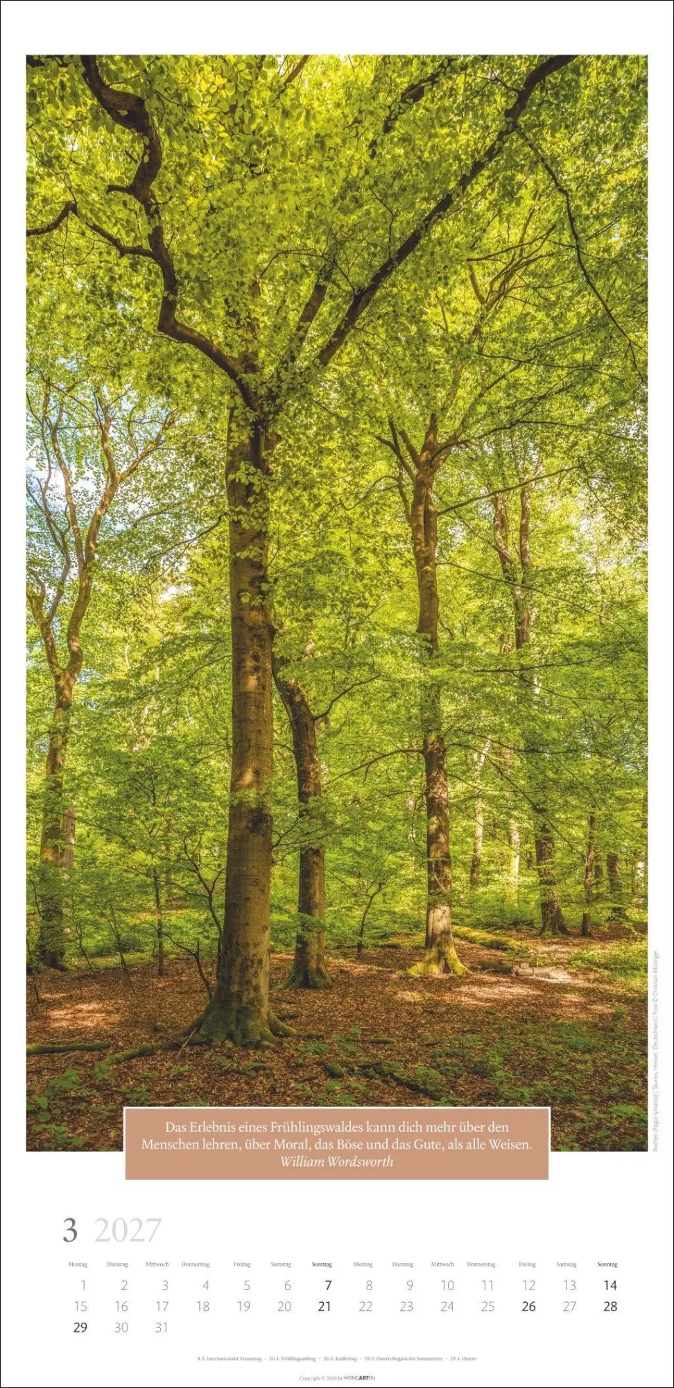 Bild: 9783839903445 | Wunderwelt der Bäume Kalender 2027 | Frank Krahmer | Kalender | 14 S.