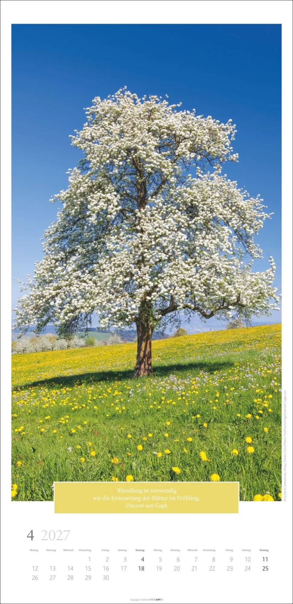 Bild: 9783839903445 | Wunderwelt der Bäume Kalender 2027 | Frank Krahmer | Kalender | 14 S.