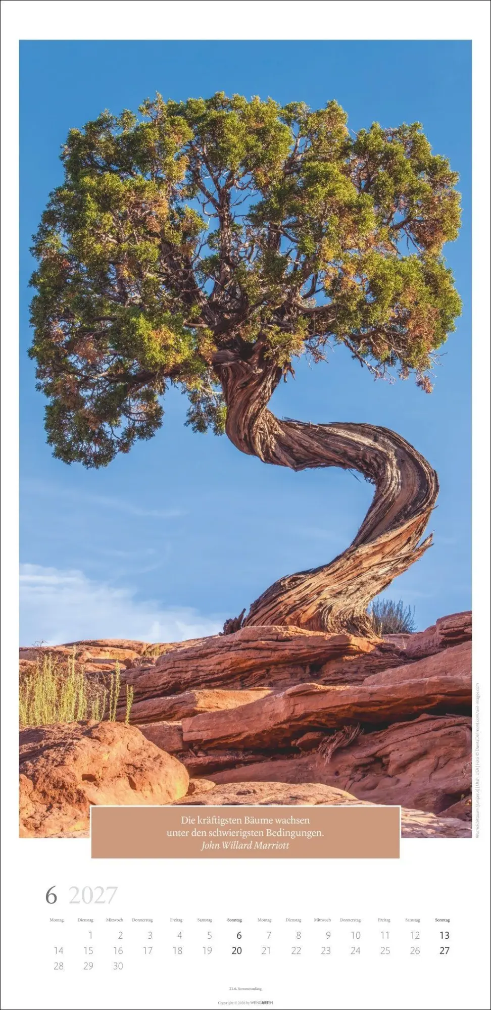 Bild: 9783839903445 | Wunderwelt der Bäume Kalender 2027 | Frank Krahmer | Kalender | 14 S.