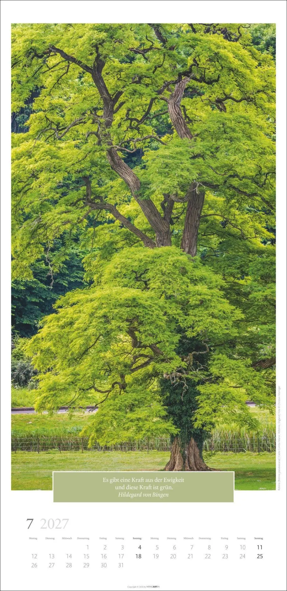 Bild: 9783839903445 | Wunderwelt der Bäume Kalender 2027 | Frank Krahmer | Kalender | 14 S.