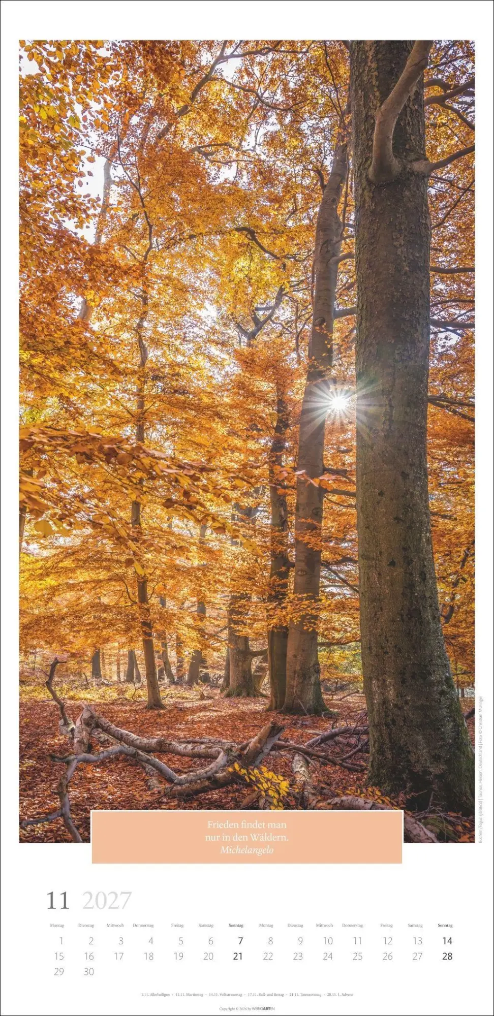 Bild: 9783839903445 | Wunderwelt der Bäume Kalender 2027 | Frank Krahmer | Kalender | 14 S.