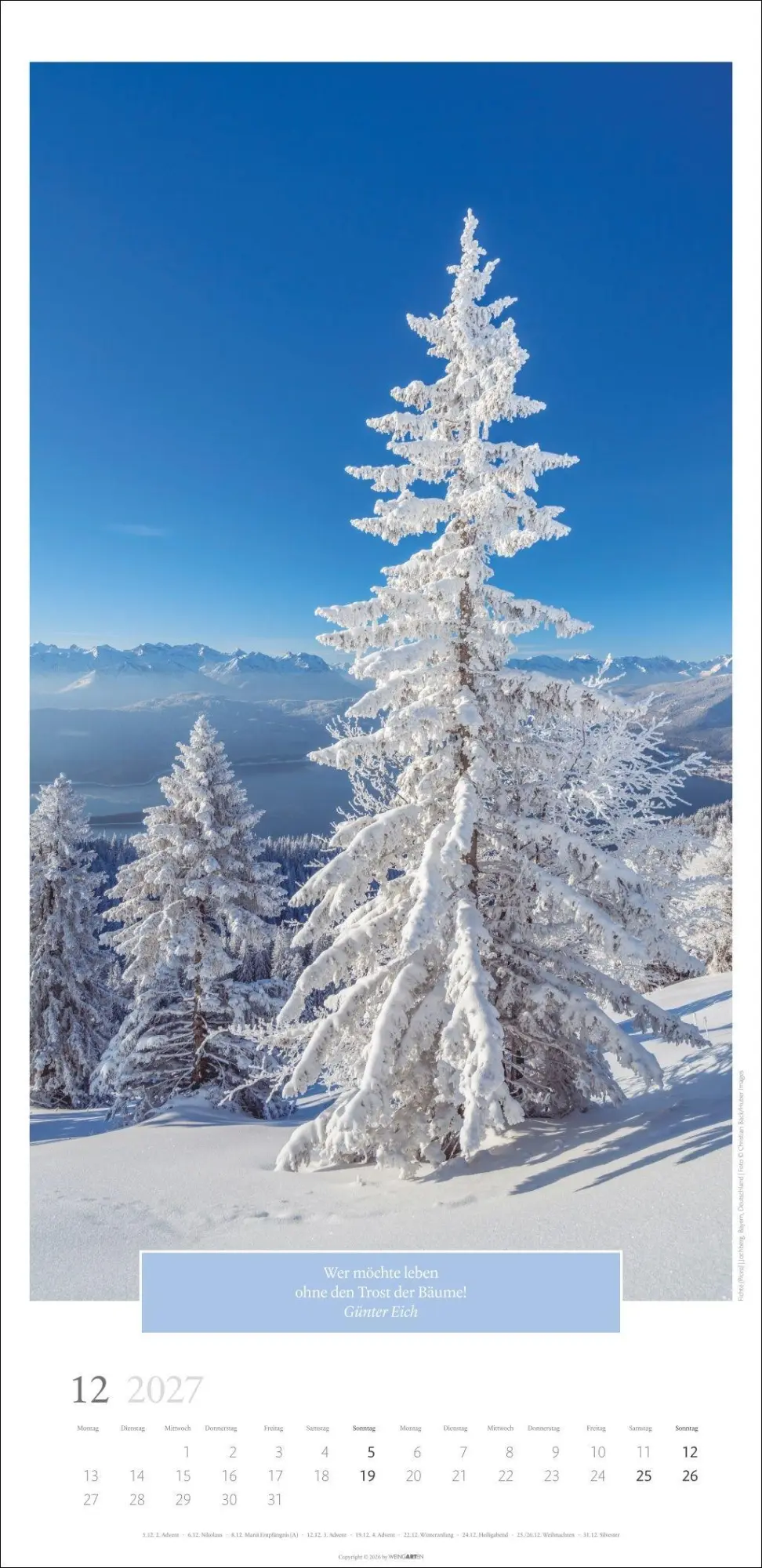 Bild: 9783839903445 | Wunderwelt der Bäume Kalender 2027 | Frank Krahmer | Kalender | 14 S.