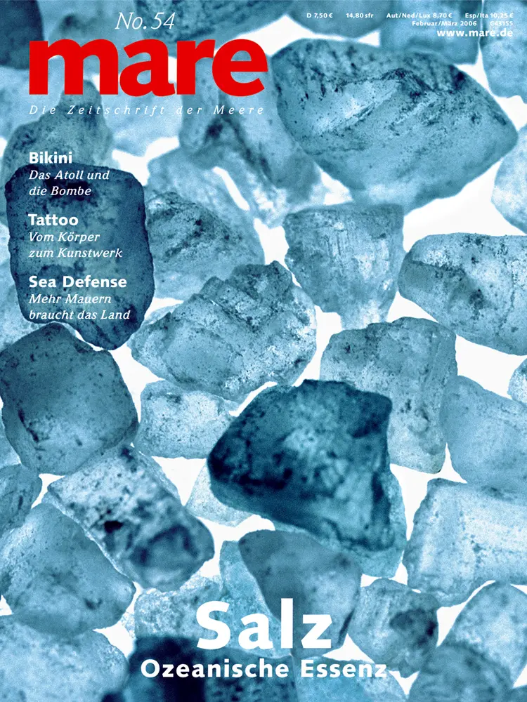 Cover: 9783936543445 | Salz | Ozeanische Essenz, mare - Die Zeitschrift der Meere 54 | Gelpke
