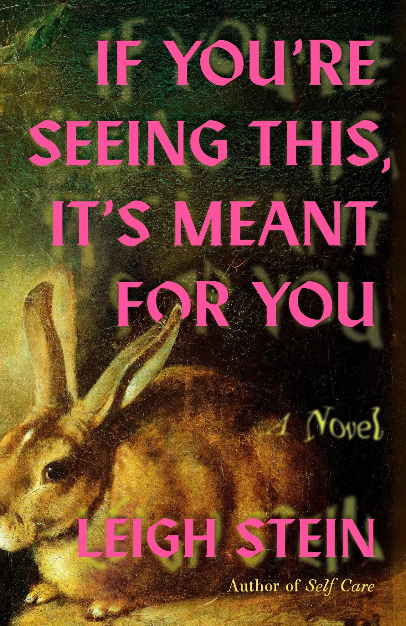 Cover: 9780593983645 | If You're Seeing This, It's Meant for You | A Novel | Leigh Stein
