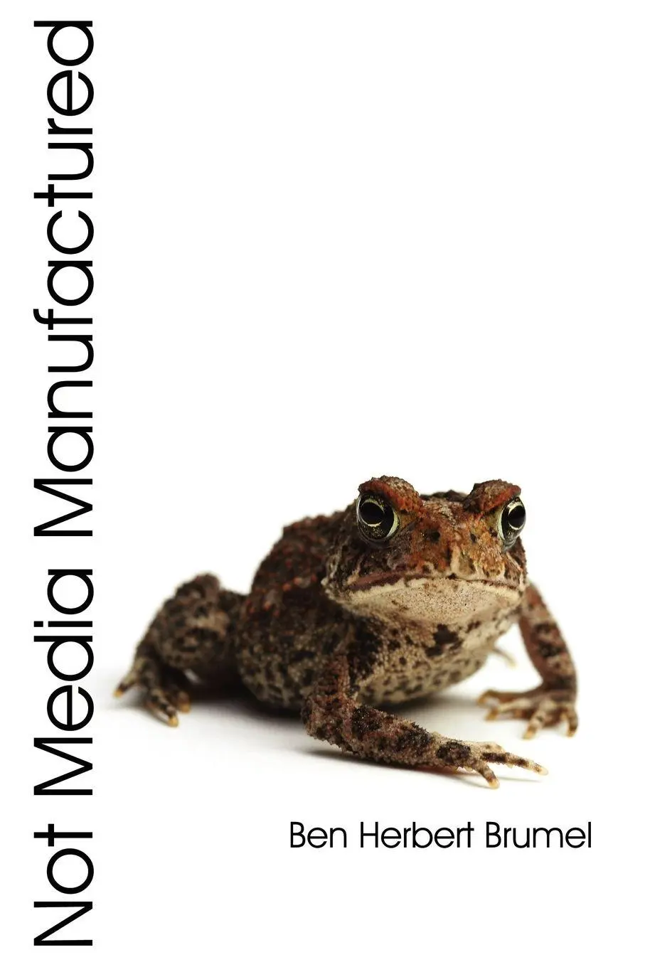 Cover: 9781434313645 | Not Media Manufactured | Ben Herbert Brumel | Taschenbuch | Englisch