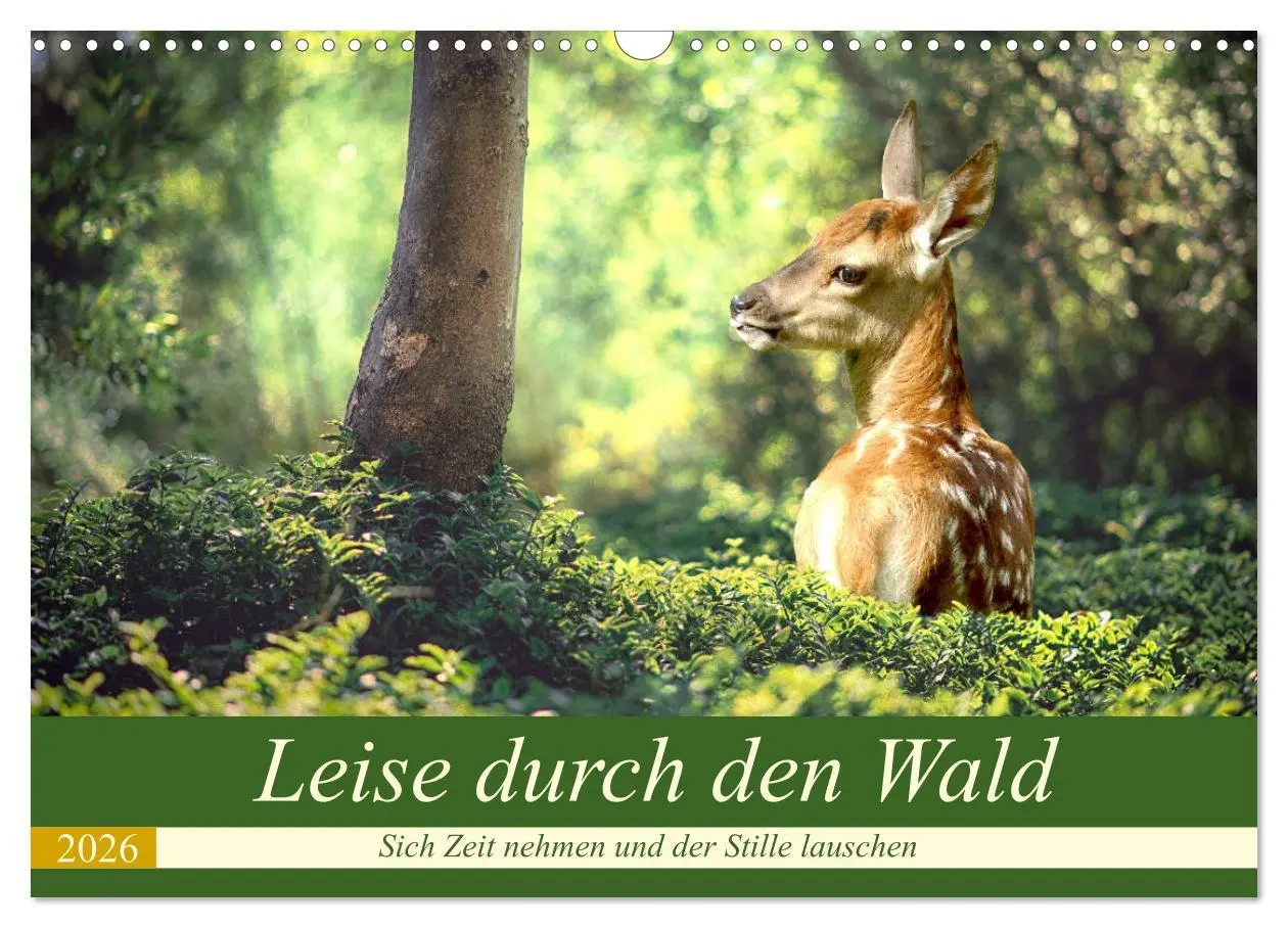 Cover: 9783457743645 | Leise durch den Wald. Sich Zeit nehmen und der Stille lauschen...