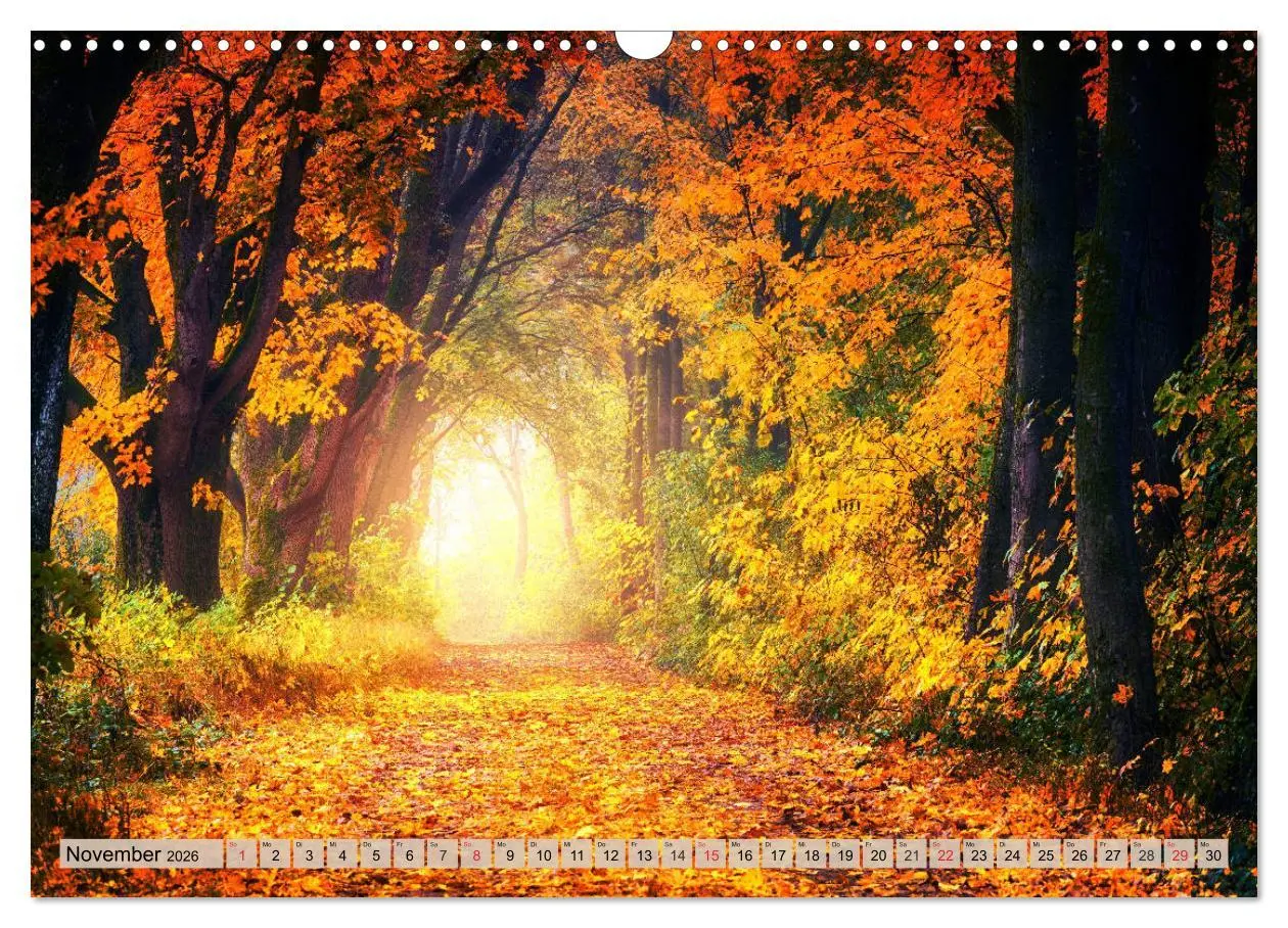 Bild: 9783457743645 | Leise durch den Wald. Sich Zeit nehmen und der Stille lauschen...