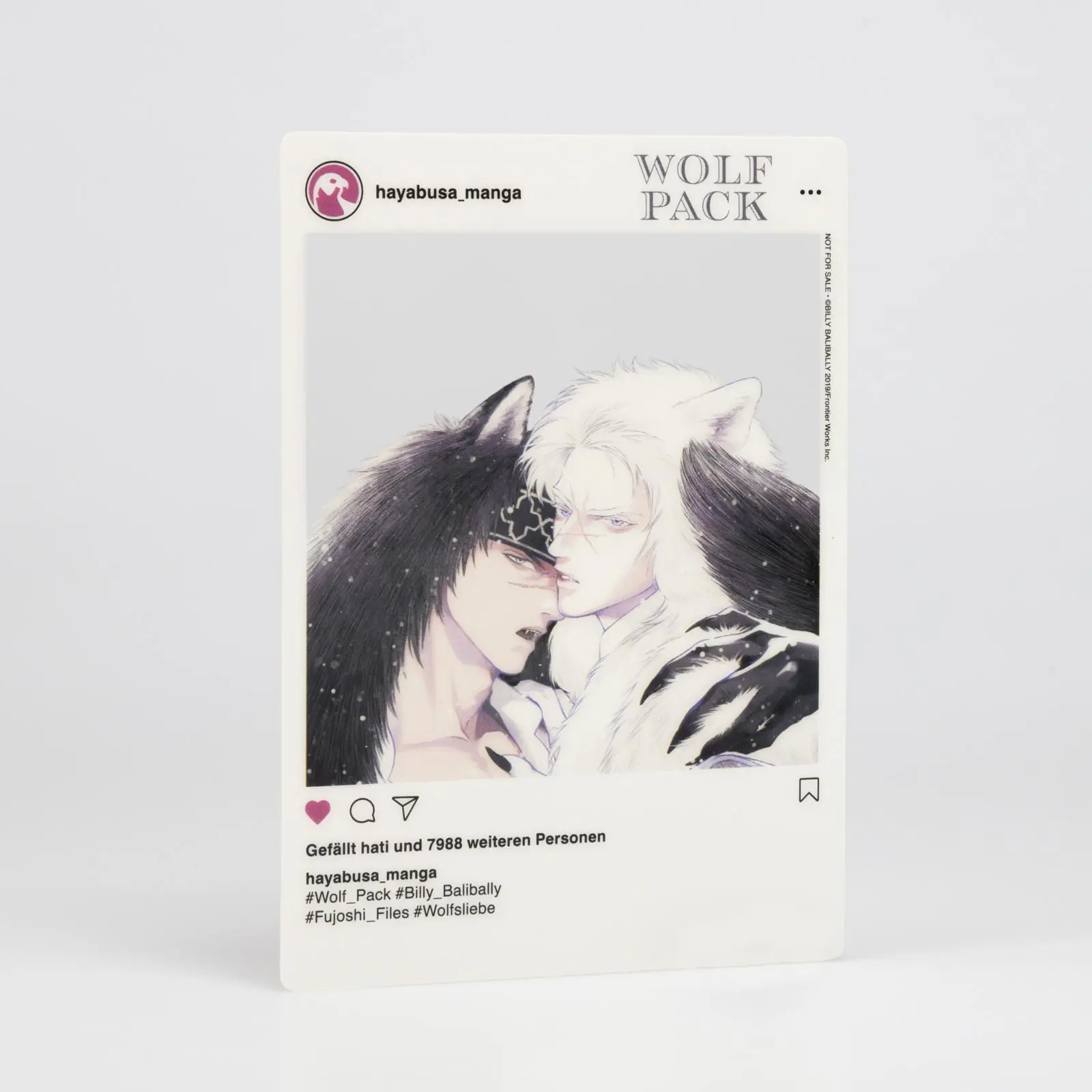 Bild: 9783551623645 | Wolf Pack | Billy Balibally | Taschenbuch | Hayabusa | Großtaschenbuch