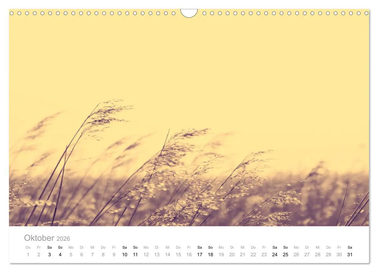 Bild: 9783457803745 | Farbrausch - die Welt in Pastell (Wandkalender 2026 DIN A3 quer),...