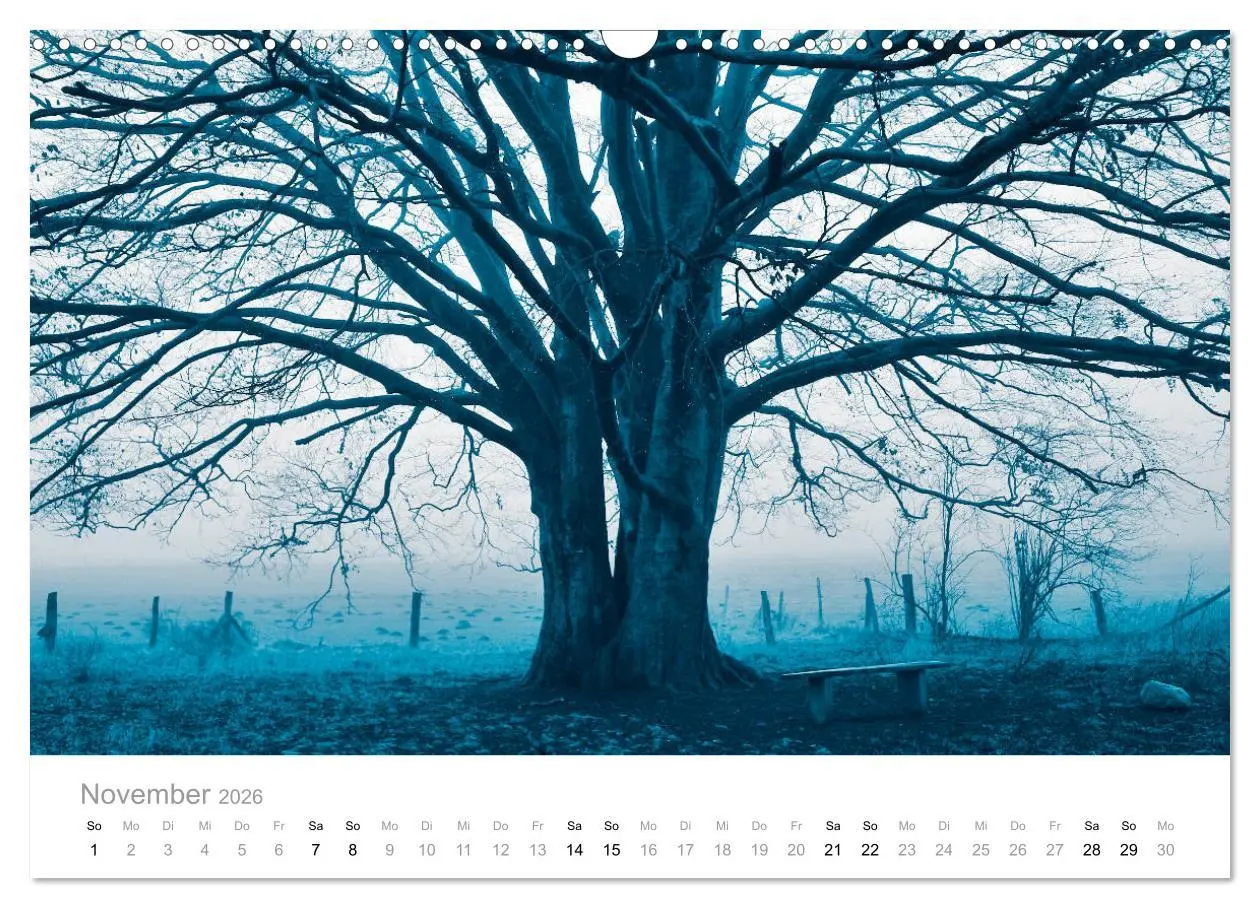 Bild: 9783457803745 | Farbrausch - die Welt in Pastell (Wandkalender 2026 DIN A3 quer),...