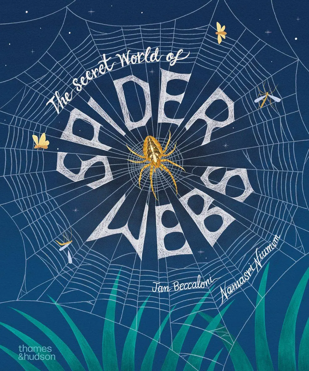 Cover: 9780500653845 | The Secret World of Spiderwebs | Jan Beccaloni | Buch | Englisch
