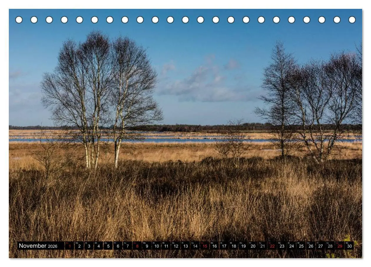 Bild: 9783516053845 | Worpswede - Künstlerdorf unter weitem Himmel (Tischkalender 2026...