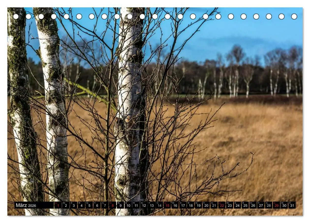 Bild: 9783516053845 | Worpswede - Künstlerdorf unter weitem Himmel (Tischkalender 2026...
