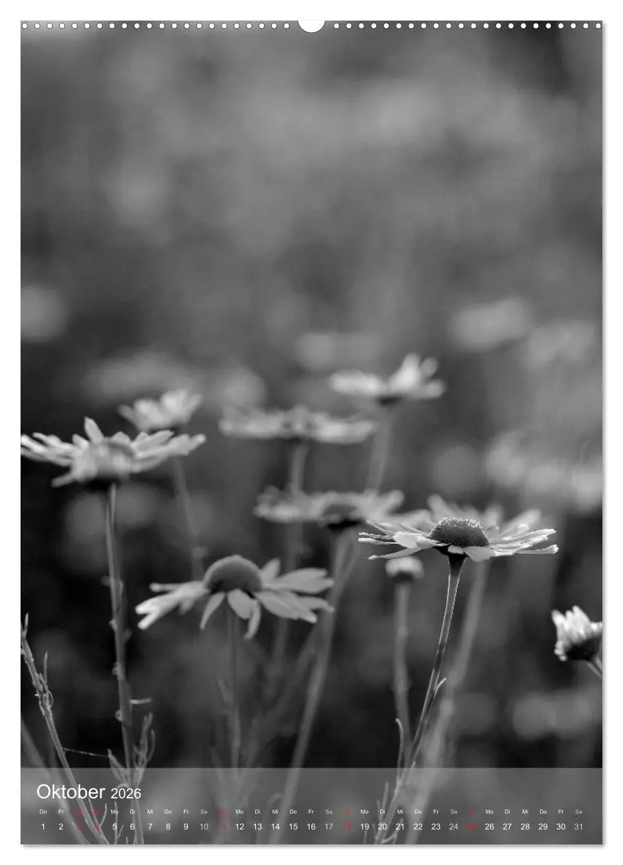 Bild: 9783516433845 | Monochrome Blüten - In Schwarz-Weiß Bildern durch das Jahr...