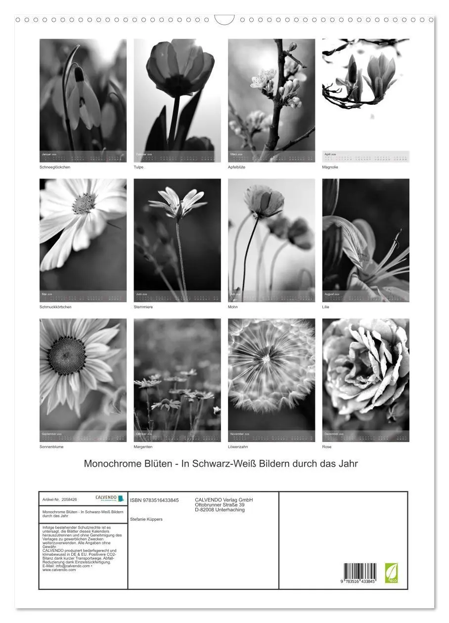 Bild: 9783516433845 | Monochrome Blüten - In Schwarz-Weiß Bildern durch das Jahr...