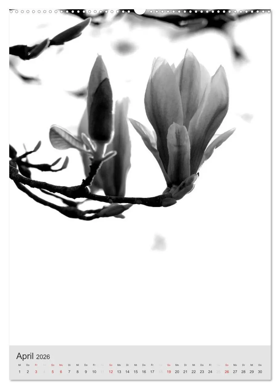 Bild: 9783516433845 | Monochrome Blüten - In Schwarz-Weiß Bildern durch das Jahr...