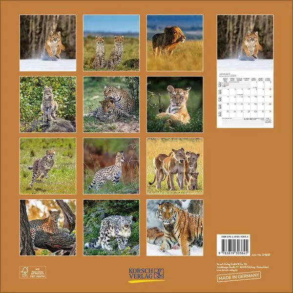 Bild: 9783819303845 | Big Cats 2027 | Verlag Korsch | Kalender | 13 S. | Deutsch | 2027