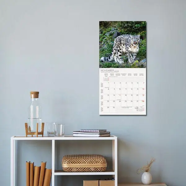Bild: 9783819303845 | Big Cats 2027 | Verlag Korsch | Kalender | 13 S. | Deutsch | 2027