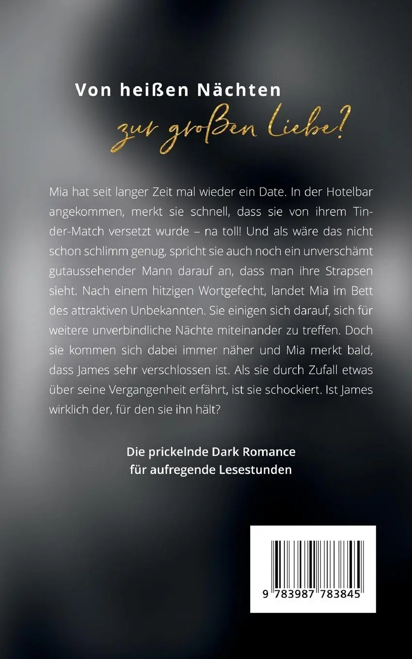 Rückseite: 9783987783845 | Sinful Affair | Im Bann des Milliardärs | Fallon Brooks | Taschenbuch