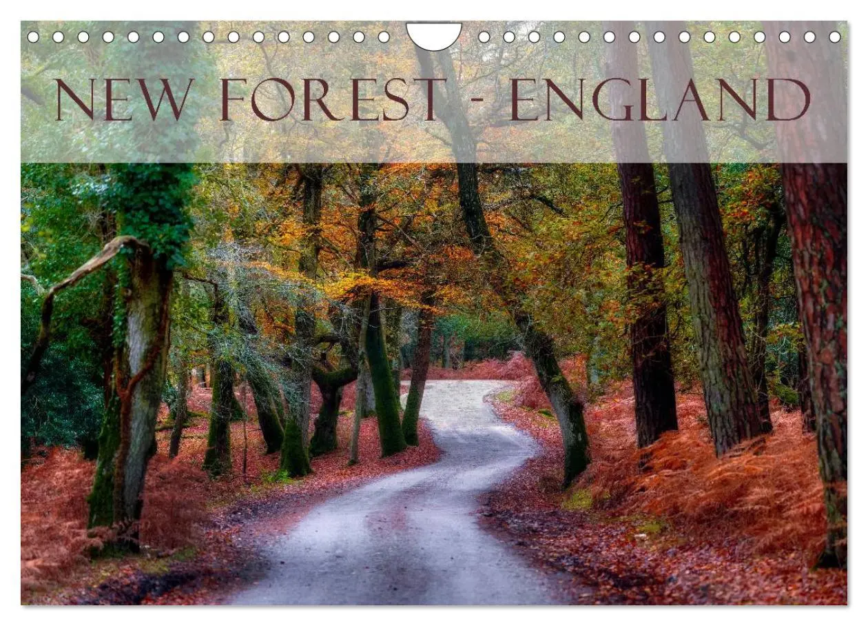 Cover: 9783457953945 | New Forest - England (Wandkalender 2026 DIN A4 quer), CALVENDO...