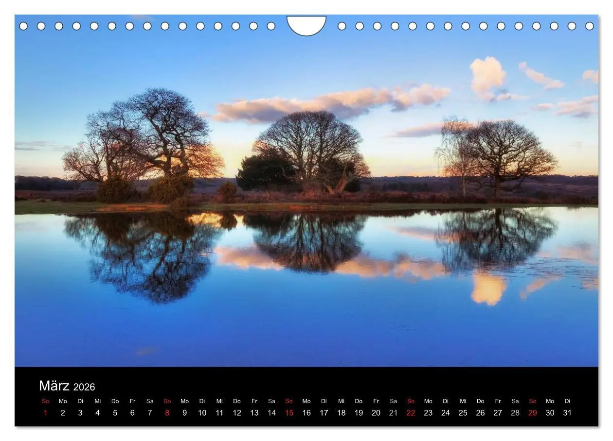 Bild: 9783457953945 | New Forest - England (Wandkalender 2026 DIN A4 quer), CALVENDO...