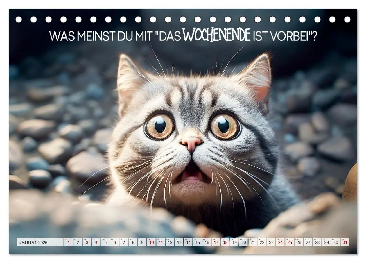 Bild: 9783457464045 | KATZEN-IRONIE Lach mal wieder (Tischkalender 2026 DIN A5 quer),...
